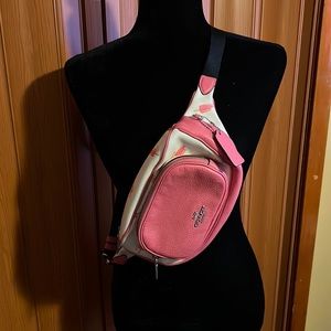 Coach Ice Cream Crossbody